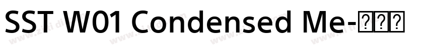 SST W01 Condensed Me字体转换